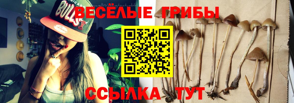 Галлюциногенные грибы мицелий  Галлюциногенные грибы ЛСД  Вход с VPN  Лянтор 